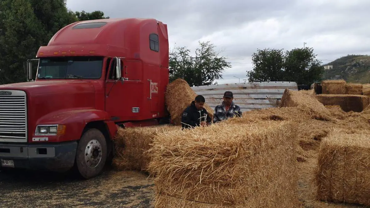 trailer