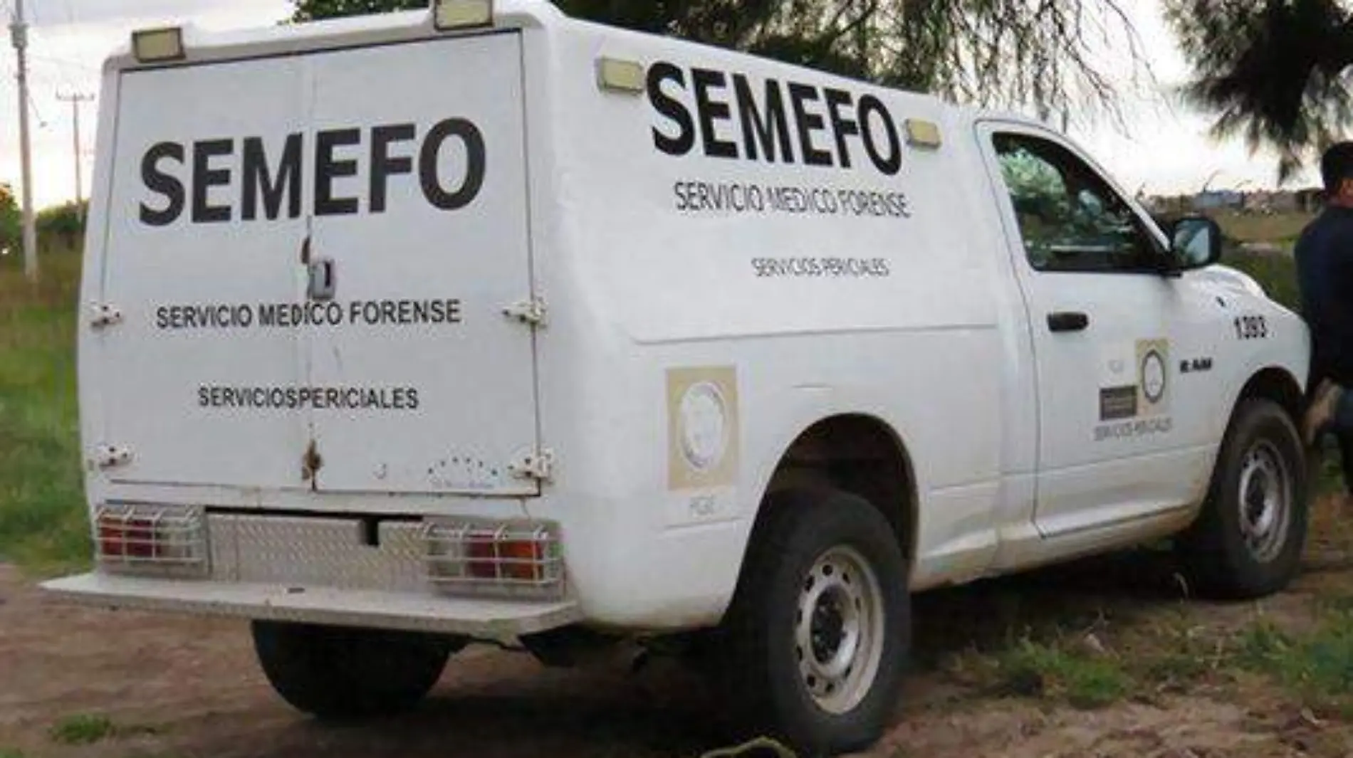 semefo