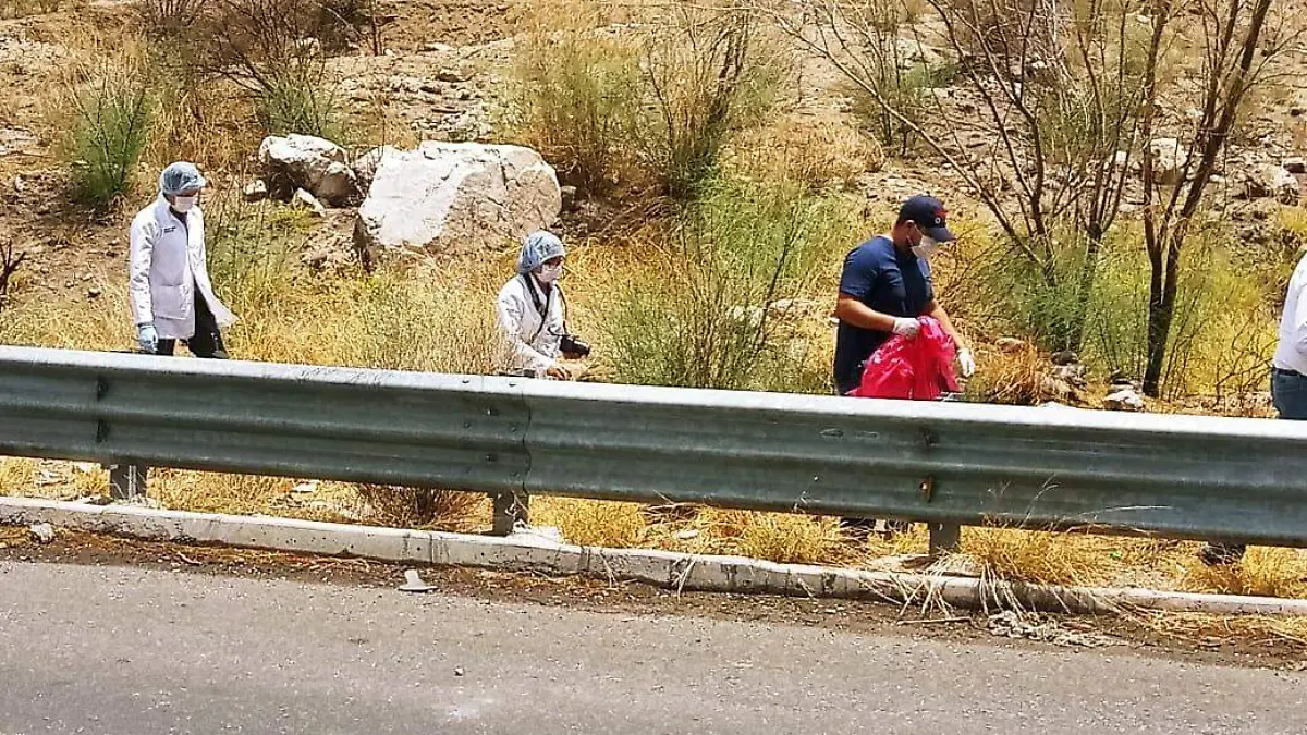 Restos Humanos La Sauceda