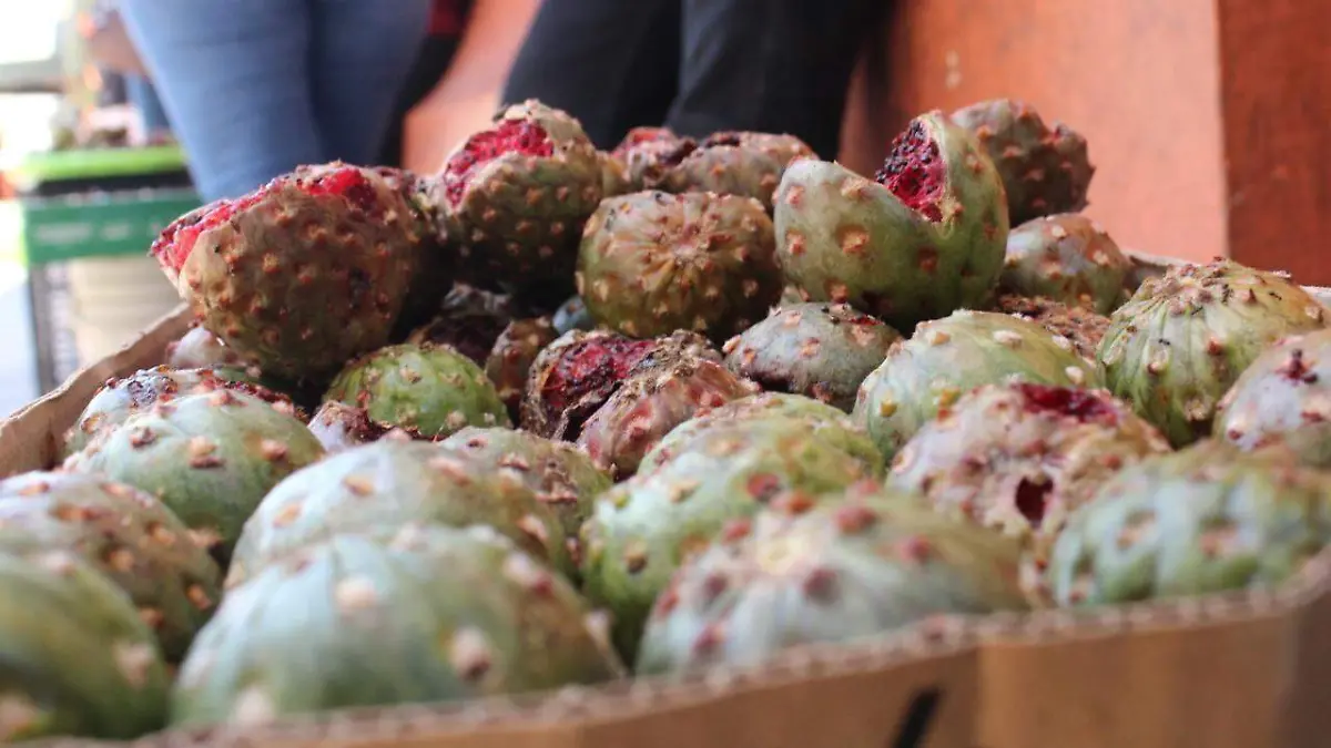 pitayas hermosillo temporada 5