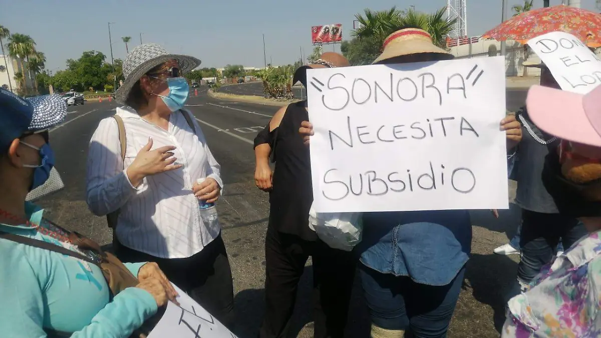 Manifestación por cobro de luz (11)