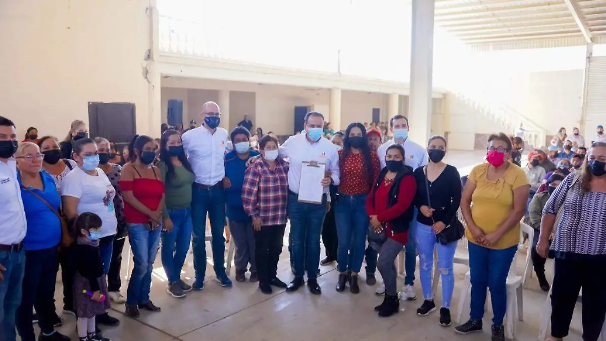 Los comités darán prioridad a las necesidades de su sector