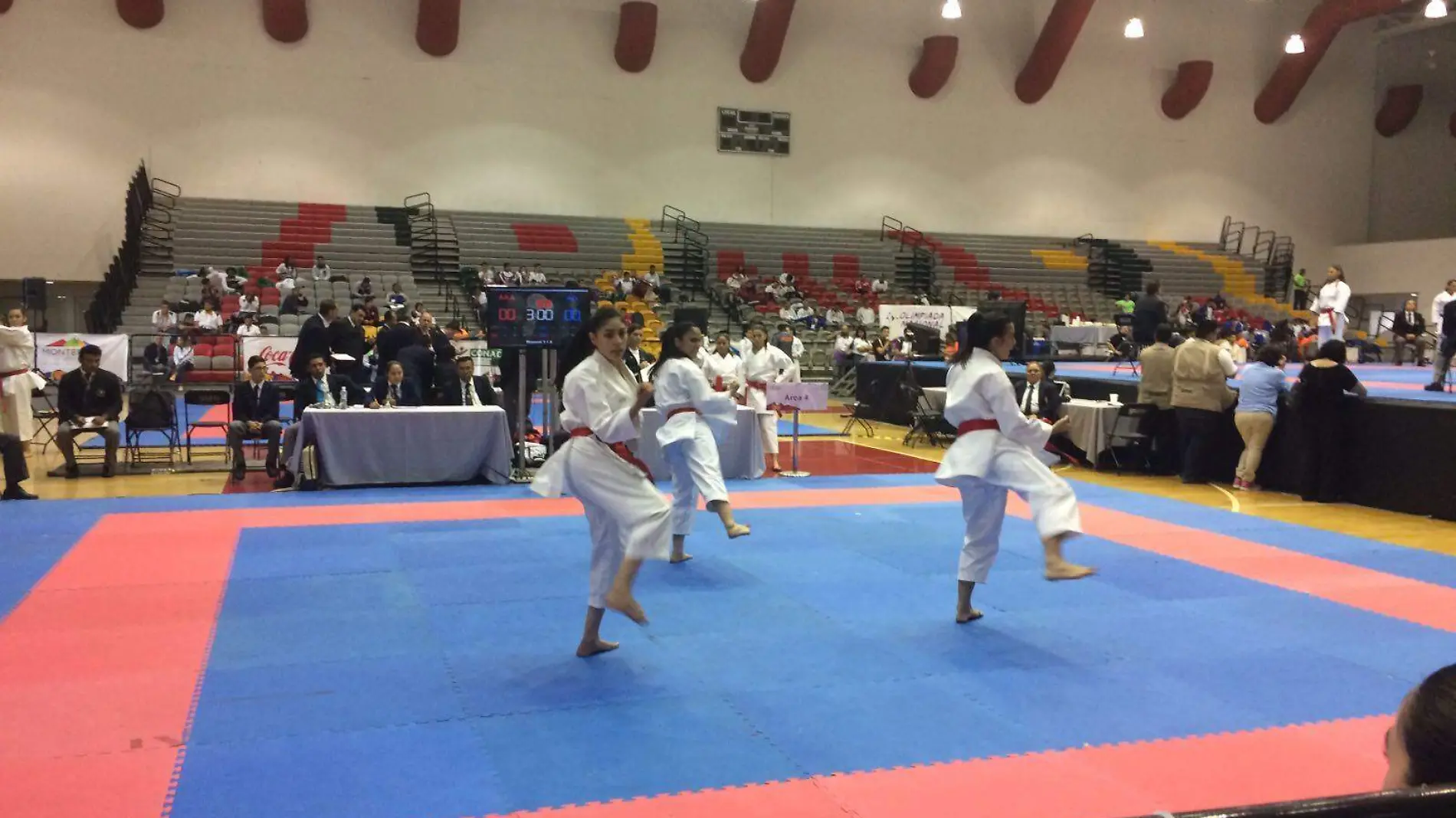 27d-Karate-02-Codeson