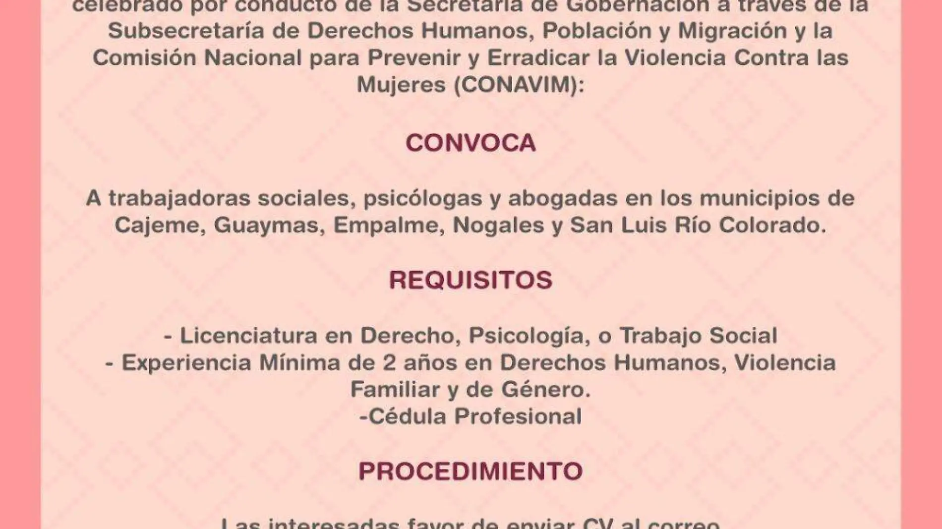 Programa salva busca a mujeres profesionistas