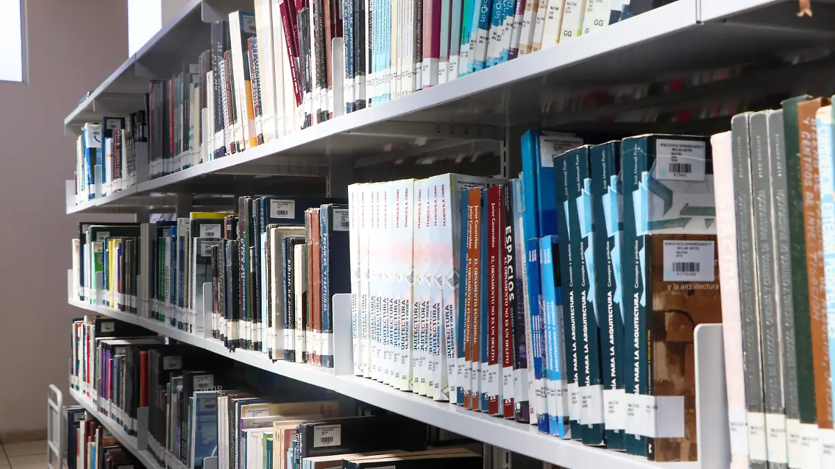 Biblioteca pública, libros 