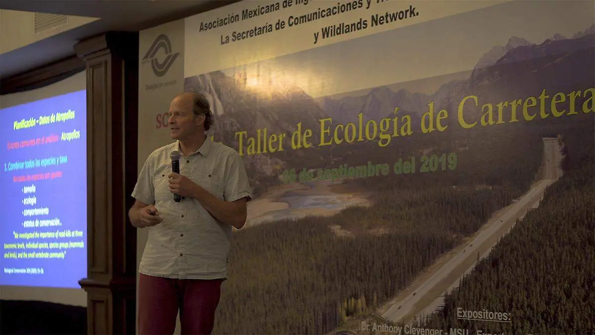 ecolocgía carretera
