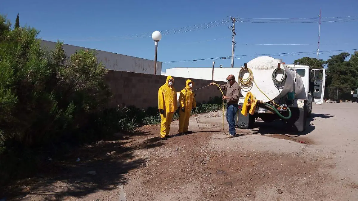 nogales 4