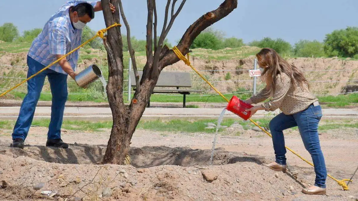 Eco-parque-trabajos-hermosillo