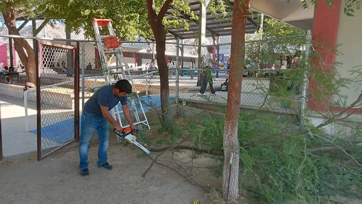 Escuela Secundaria 15