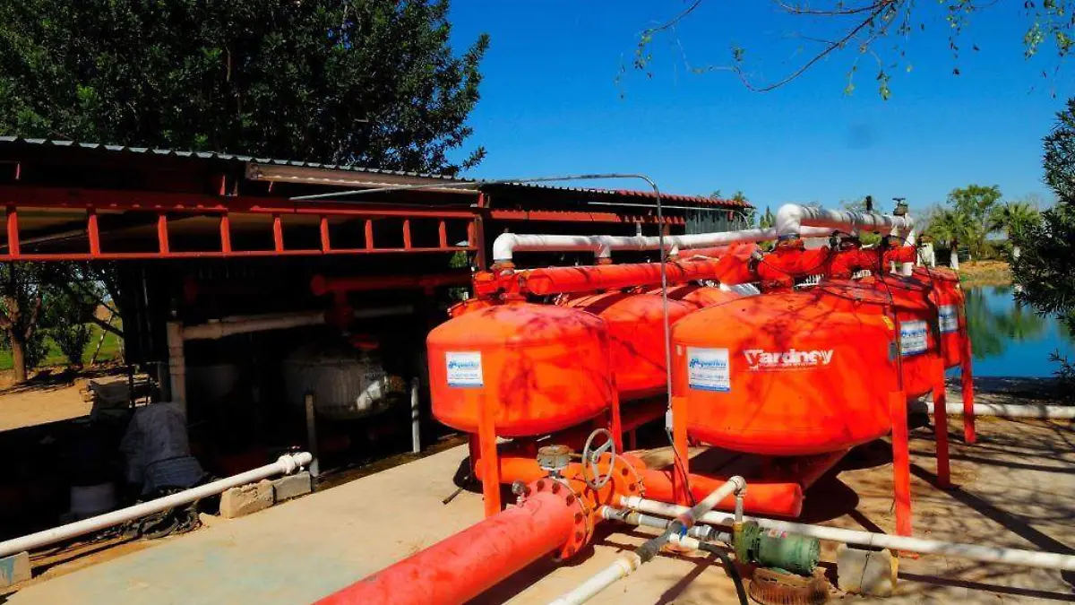 WhatsApp Image 2020-01-05 at 2.17.54 PM