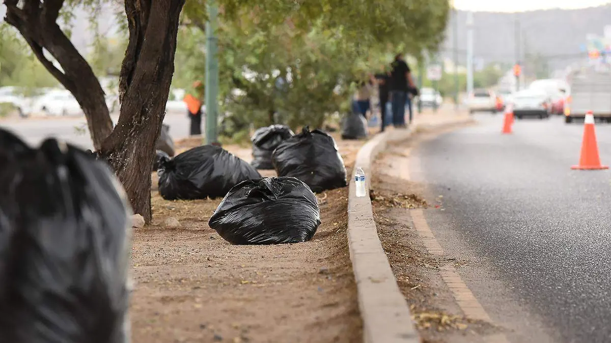 basura