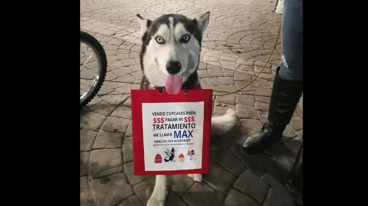 max