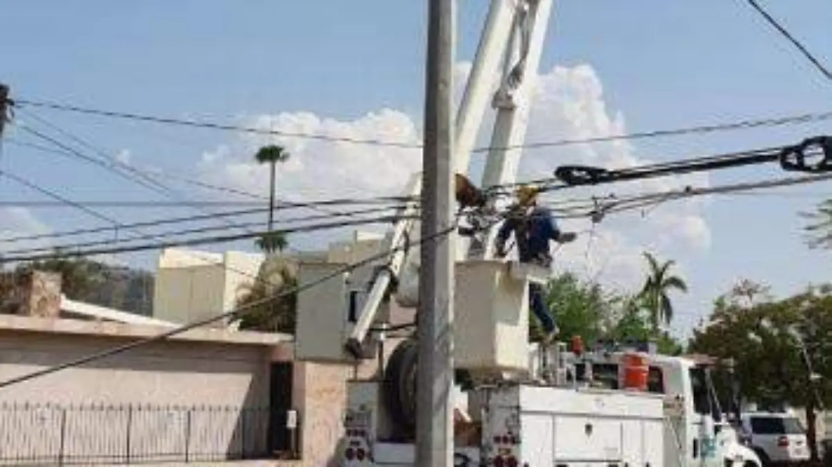 CFE trabajos trabajadores