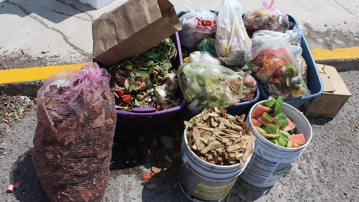 Recolección de composta (5)