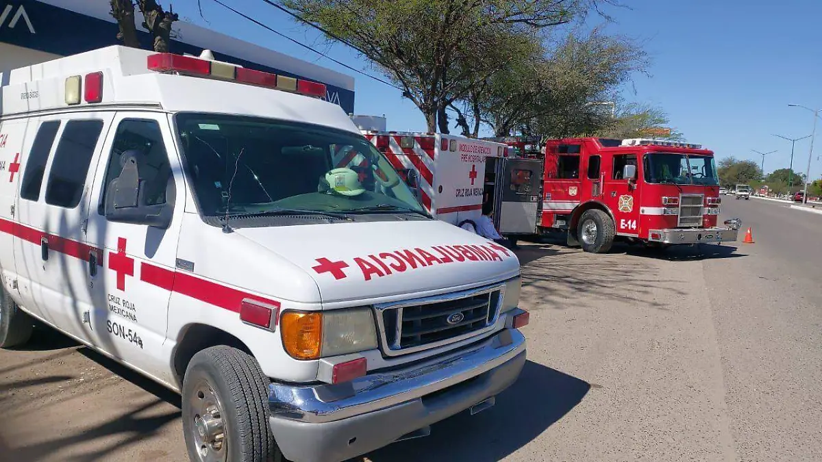 WhatsApp Image 2023-04-14 at 2.24.20 PM