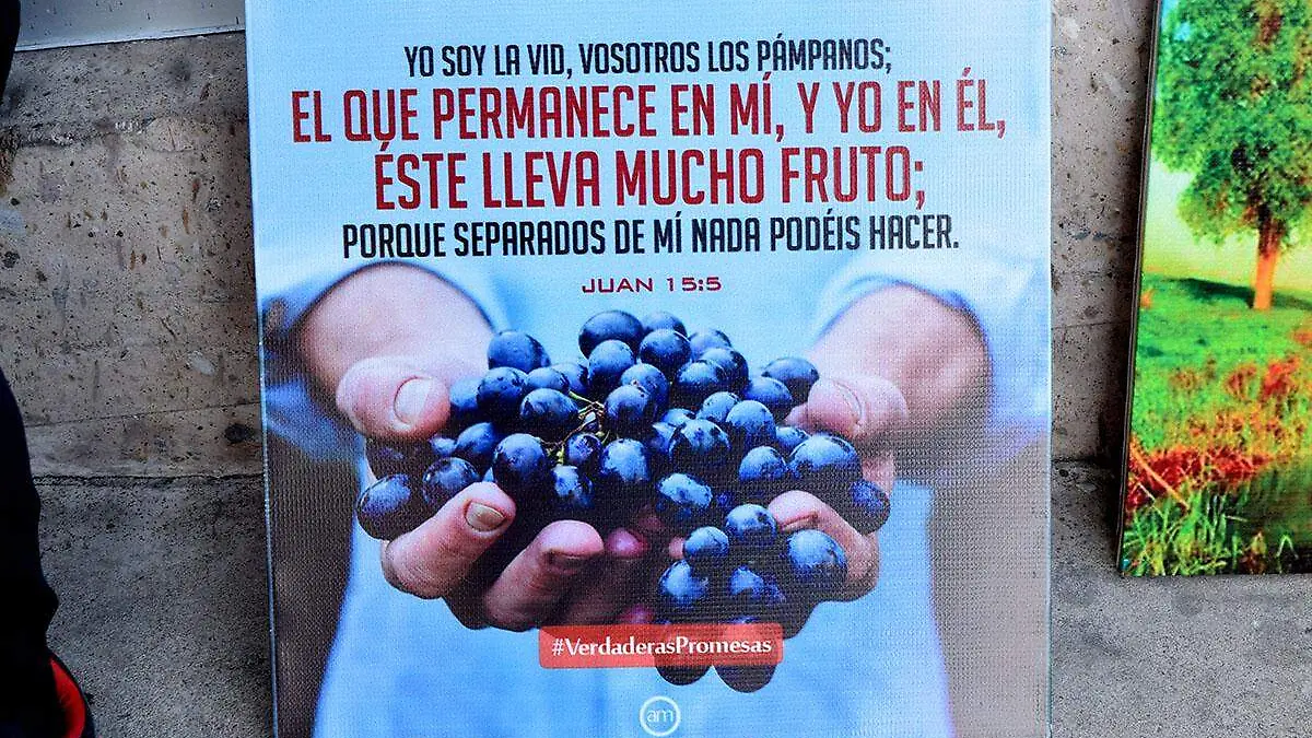 Don Plutarco cuadros 6