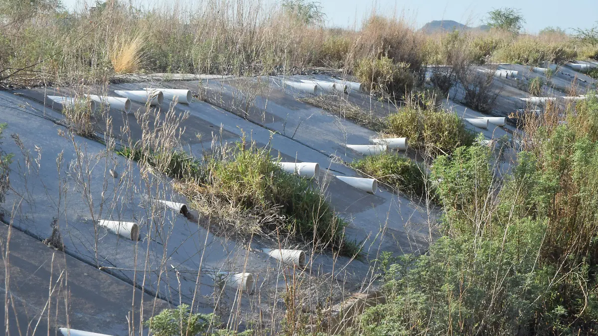 CITRART Hermosillo-Carlos Villalba (32)