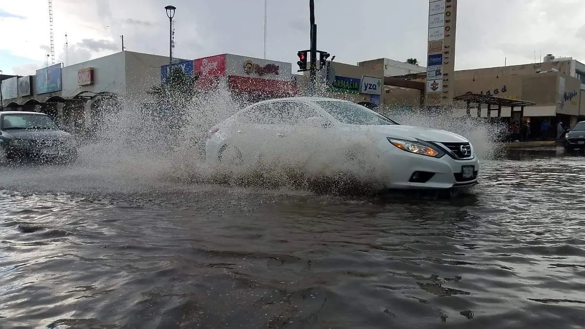 luvia 2