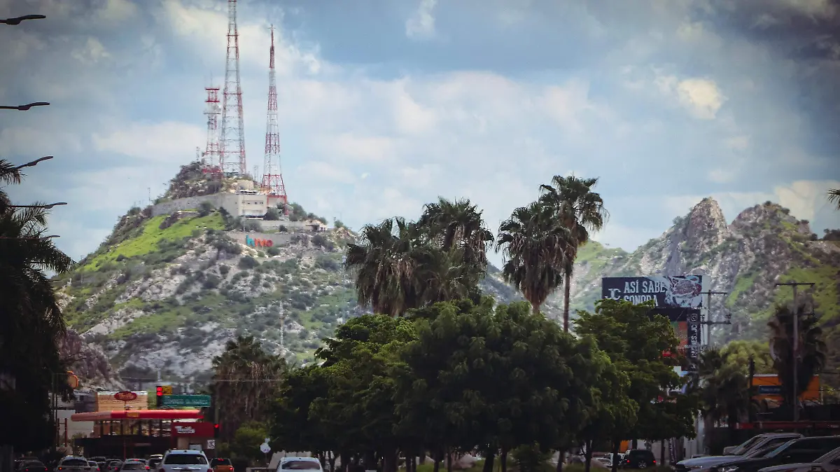 Temática lluvias benefician fauna silvestre y plantas endémicas - Cecilia Saijas (2)