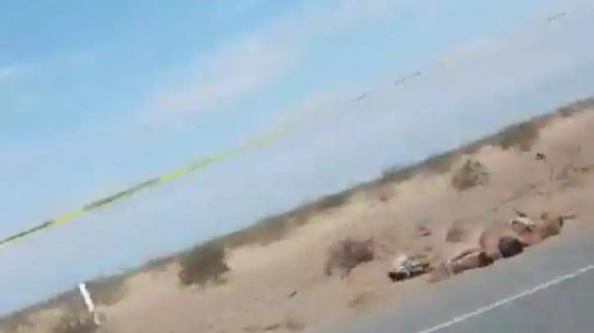 WhatsApp Image 2023-09-02 at 13.44.39