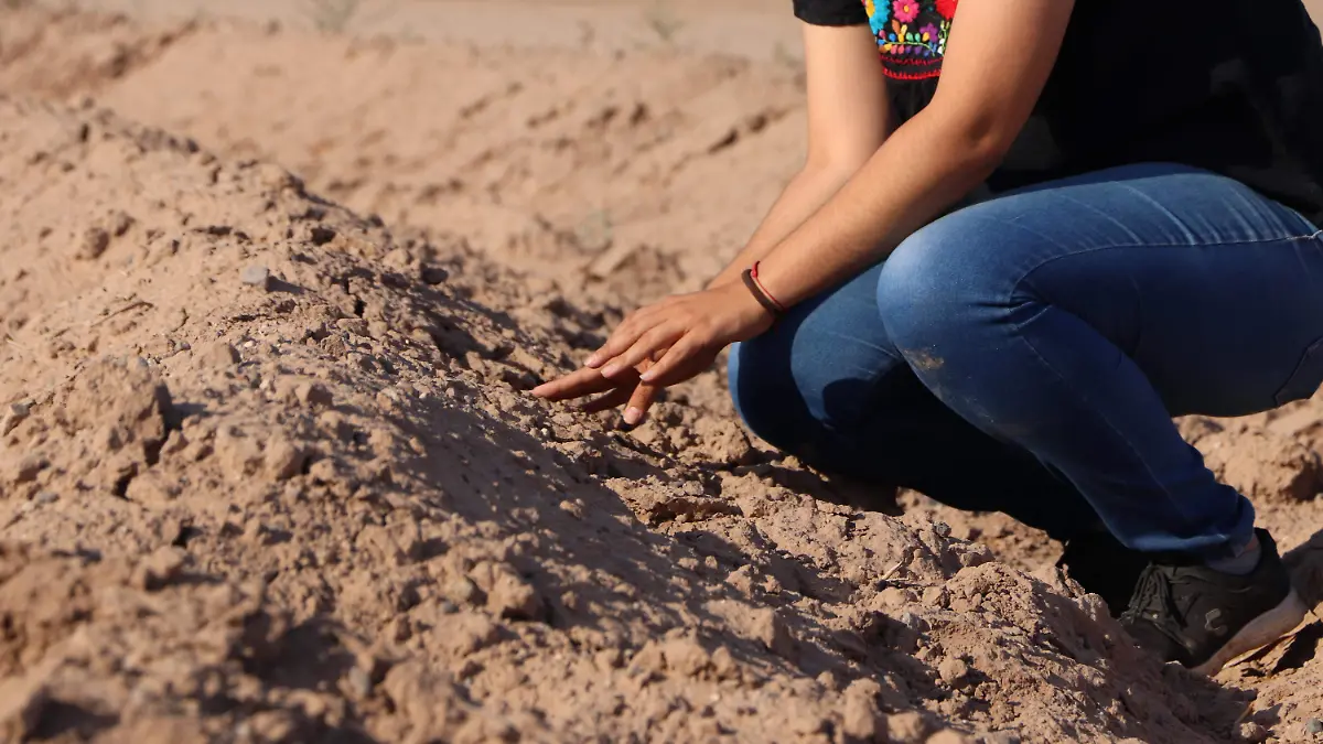 Temática sequía campos agrícolas  - Cecilia Saijas (45)