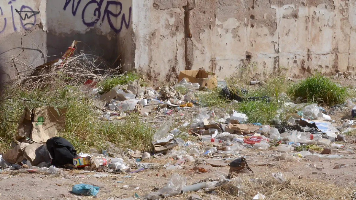 Basureros clandestinos