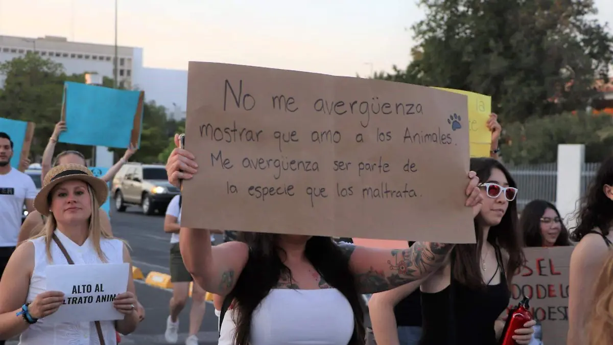 Marcha contra el maltrato animal