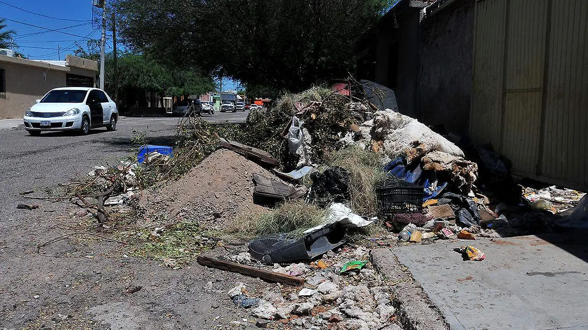 Basurero Choyal-Omar Carrazco (2)