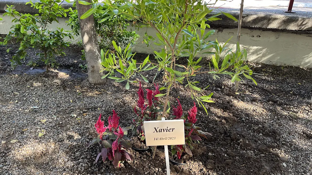 Jardin de la Vida, donación de órganos