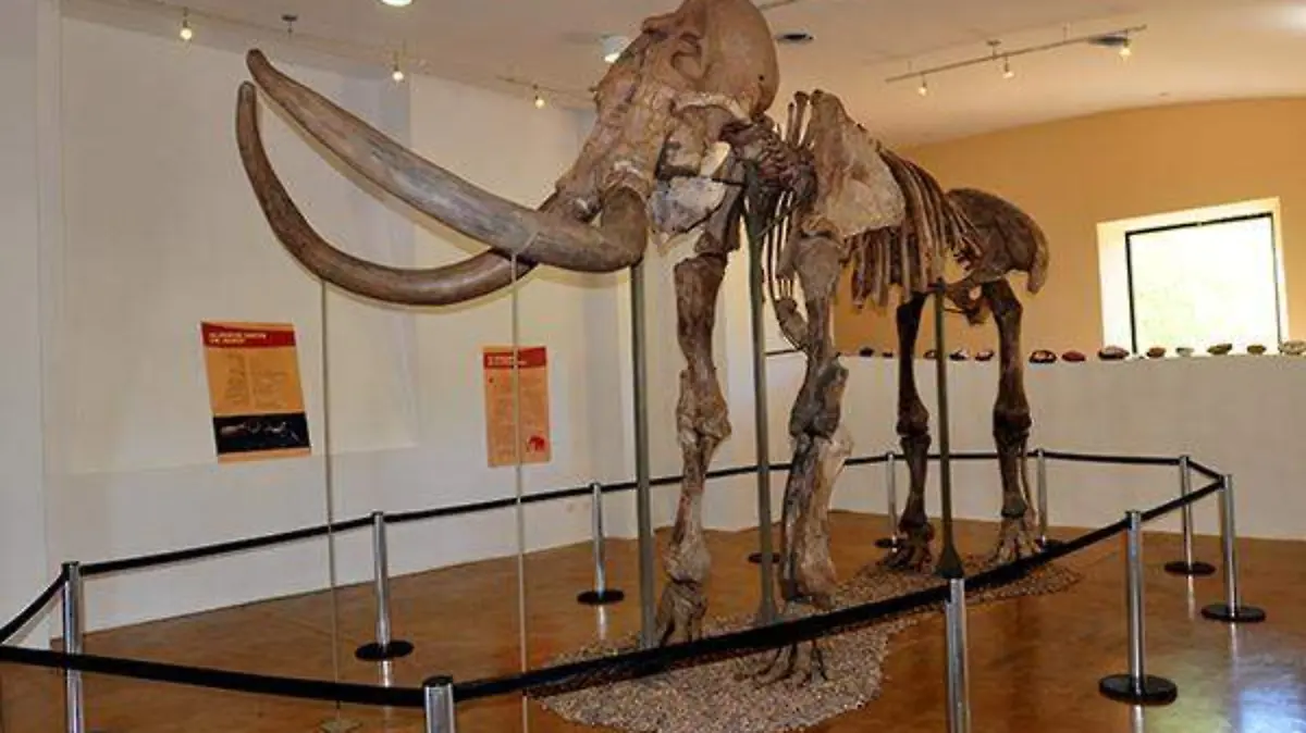 mamut2