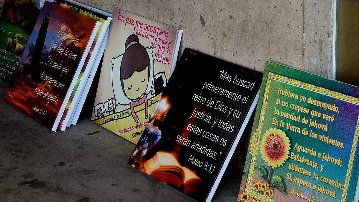 Don Plutarco cuadros 4