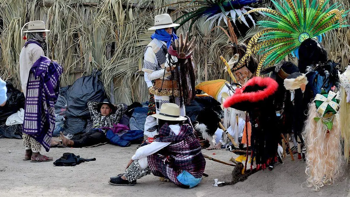 Fariseos Coloso Alto