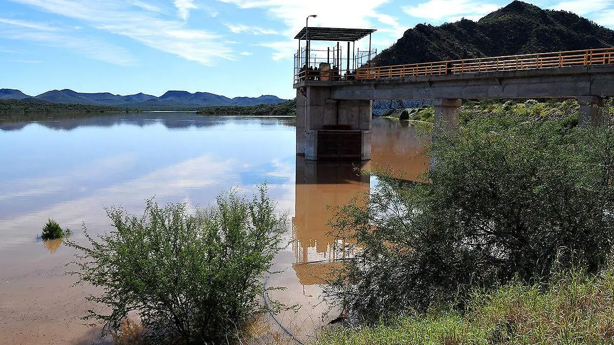 Presa el Molinito (10)