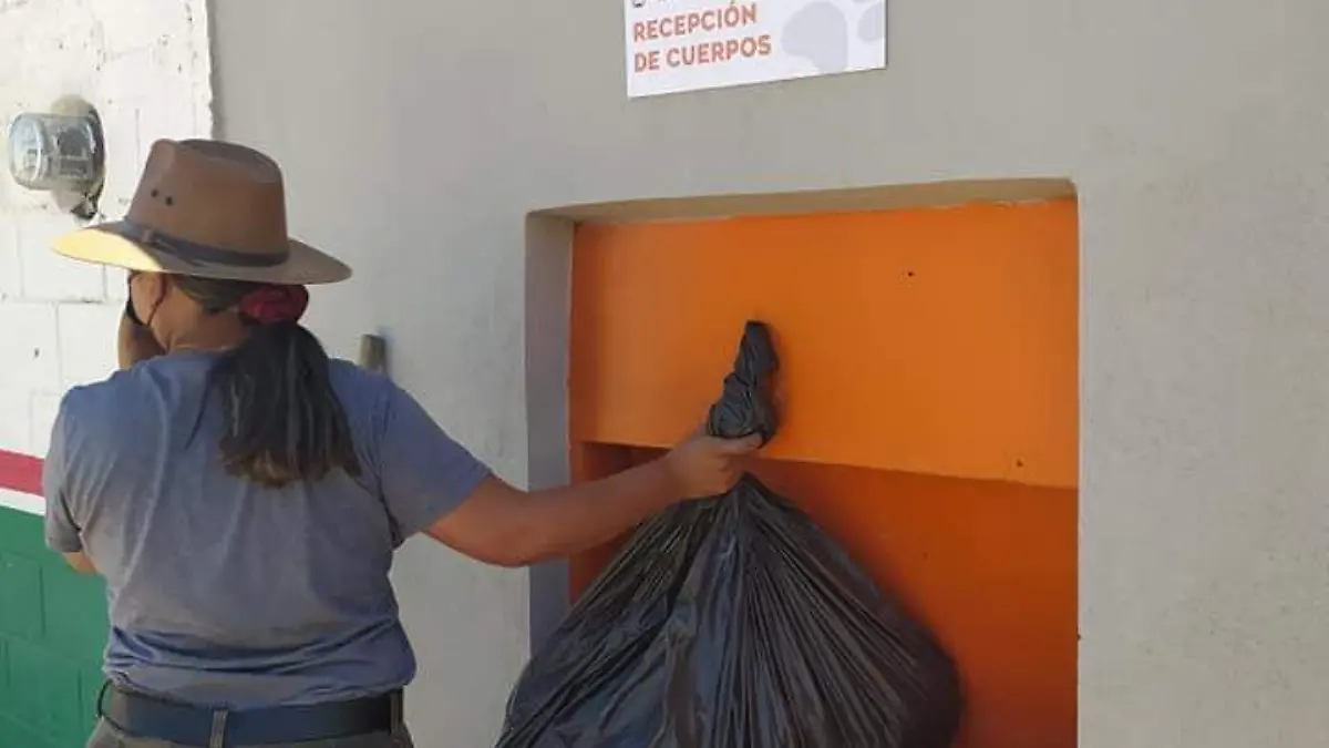 Amigos-del-Cerro-Johnson-9