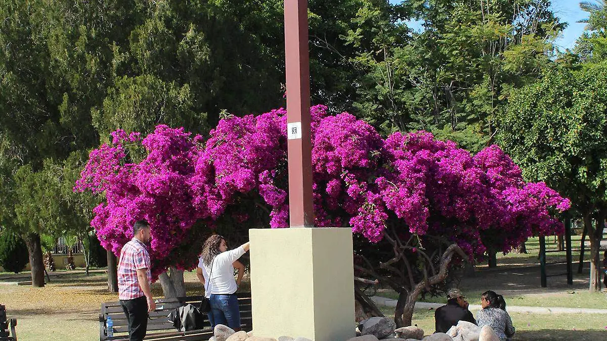 Polo de paz Parque Madero - Mike Acosta (3)