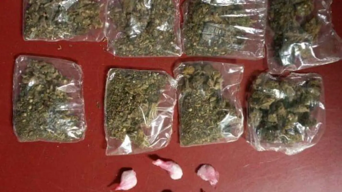 8b0fd6e2-deea-48ff-8523-3c66cc366e2e