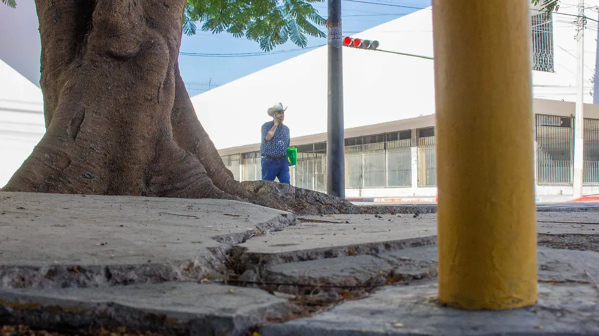 Los peatones son quienes más sufren por las banquetas dañadas