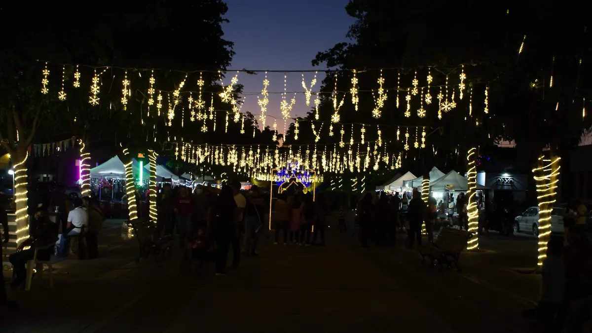 Las luces fueron colocadas por personal del ayuntamiento