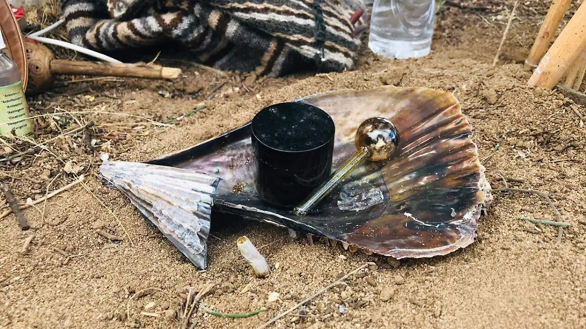 sapo del desierto