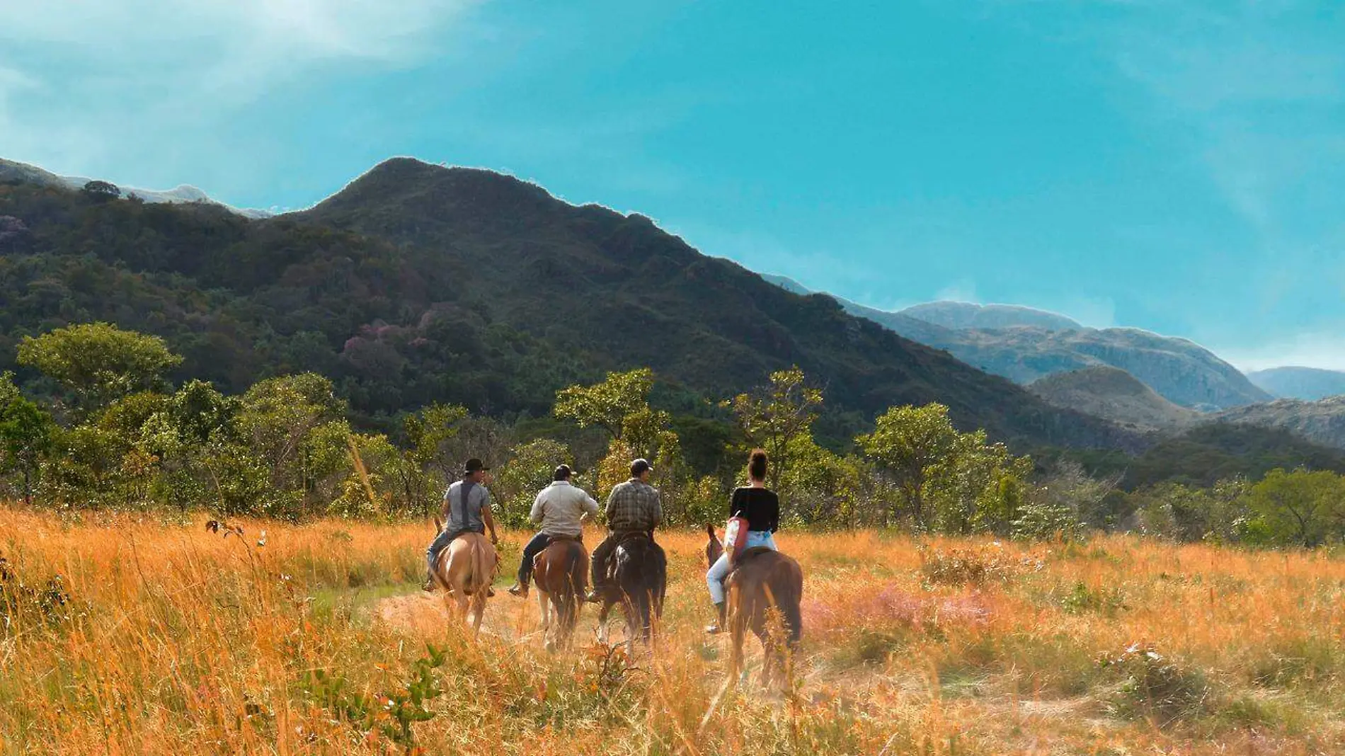 paseo a caballo en el campo