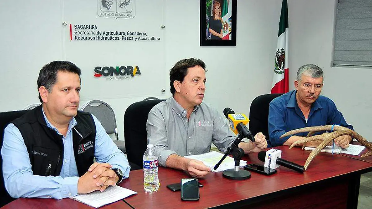 Temporada cacería
