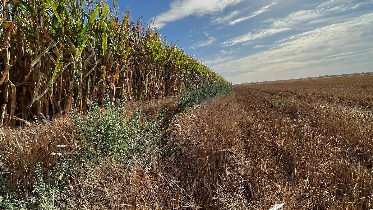 WhatsApp Image 2023-09-18 at 3.07.52 PM (2)