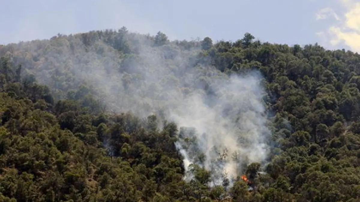 incendio forestal conafor