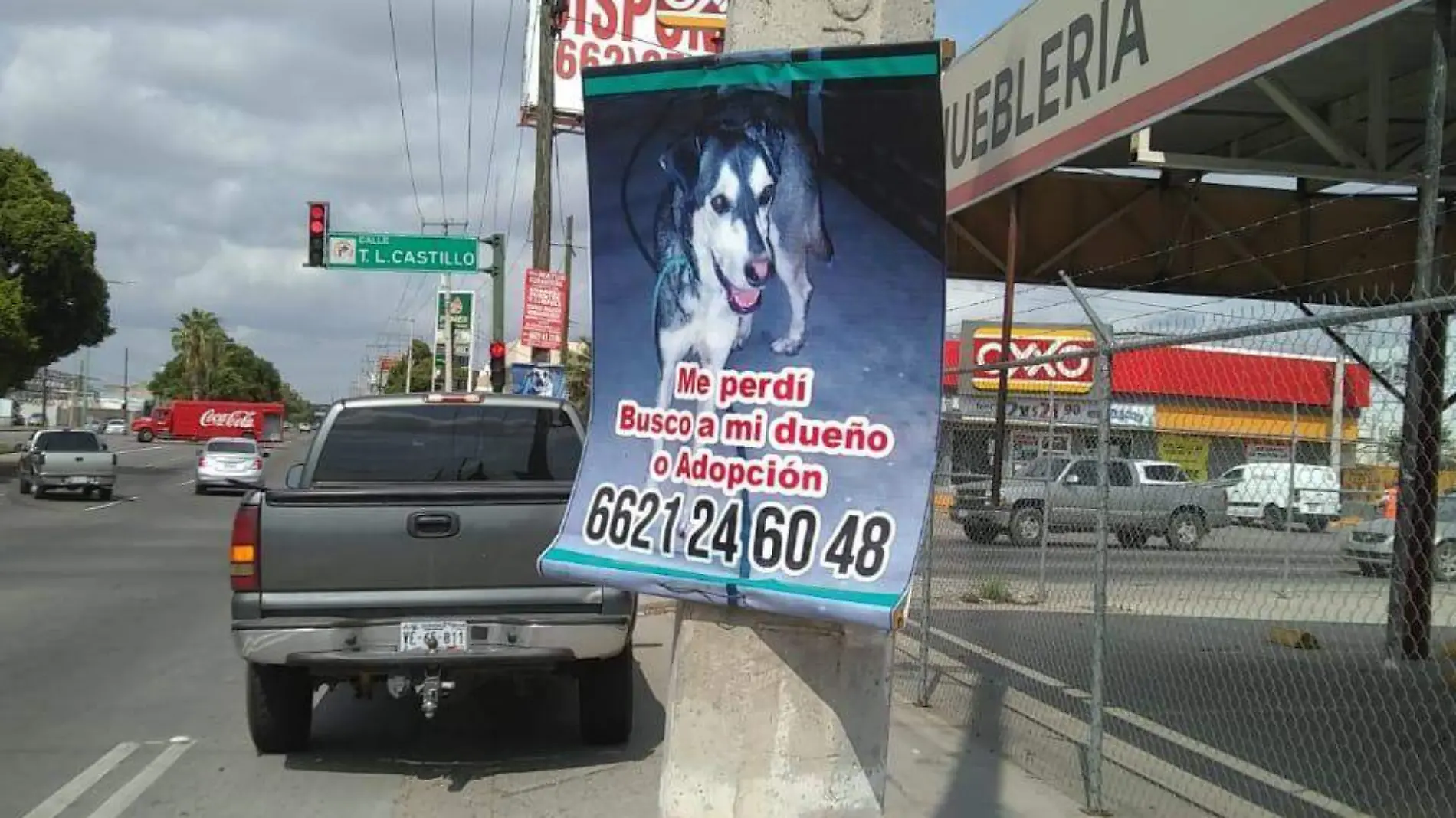 anuncios2