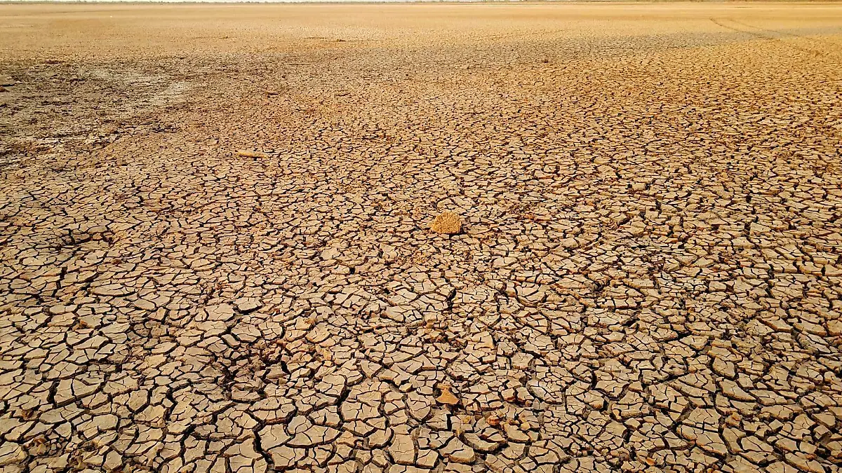 sequía sonora presa desierto 3
