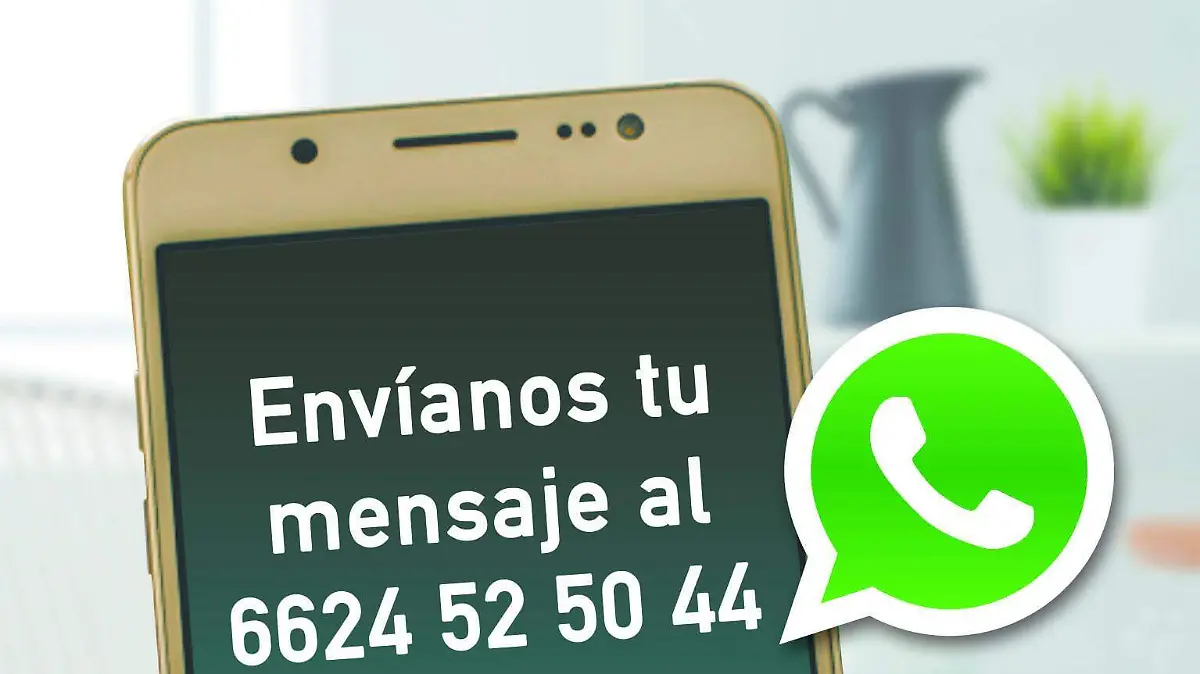 Whatapp Sol