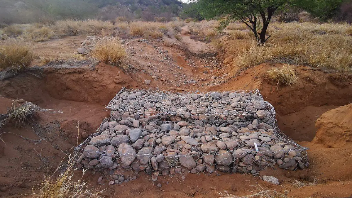 gavilas-riego-cerro-johnson 2