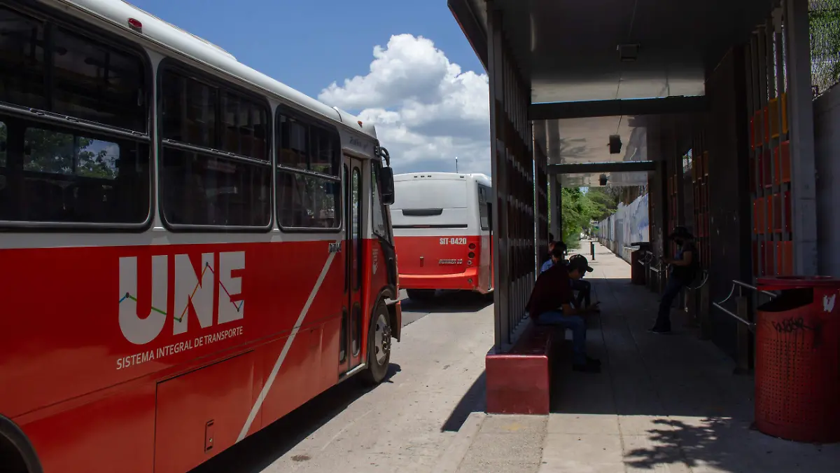 Transporte-público-UNE-camiones2