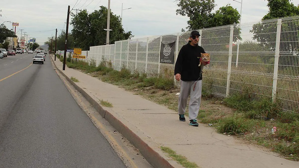 Colonia Cuauhtemoc ave. Xolotl- Mike Acosta (3)