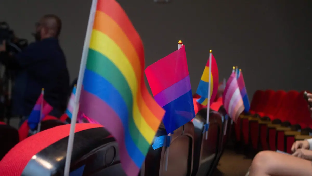 Aspectos banderas comunidad LGBTQ colectivos  - Mike Acosta (3)